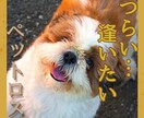 もう一度抱きしめて伝えたい！別れの辛さ寄り添います ペットロス/別れ/後悔/グリーフケア/ロス経験者/心理資格有 イメージ1