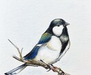 原画郵送✳︎動物を透明水彩や色鉛筆で描きます お好きな動物や愛するペットなど何でも描きます！ イメージ5