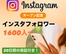 インスタのフォロワー1600人〜増やします ＜＜オープン特典として＋100人追加中！＞＞ イメージ1