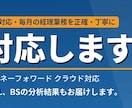 MFC対応・毎月の経理業務を正確に対応します 属人化した業務を、誰にでもできる形に業務効率もいたします。 イメージ1