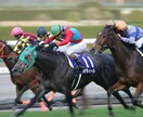高知競馬予想☆小頭数で的中目指します 人気に左右されない予想☆12/31までの特別価格！！ イメージ1