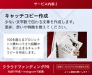 クラウドファンディングフルサポート＋PRします クラウドファンディングの専門家が、丸ごと作成＋PRします！ イメージ6