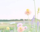 ココナラ出品者さん♪ホッと心が緩む時間お届けします 悩み、愚痴、話し相手☘️あなたに寄り添うリフレッシュスペース イメージ2