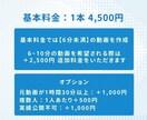 テンポの良い切り抜き横動画制作いたします VTuberさん向け！テンポよく飽きさせない動画を作ります イメージ2