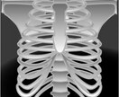 ヘルニア 脊柱管狭窄症の運動、姿勢アドバイスします 毎日の痛みに苦しむあなたを支えます イメージ1