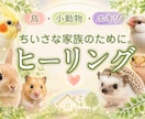 鳥・小動物・エキゾの遠隔ヒーリングします 小さな命と飼い主さんに寄り添います｜健やかな毎日をサポート イメージ1