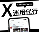 Xを現役プロが1ヶ月運用代行します どんなジャンルもお任せください！本格的に運用したい方へ！ イメージ1