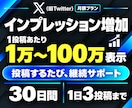 X【月額プラン30日間】インプレッション増加します 1万回増加★Twitterツイート回数無制限★毎日可★ イメージ1