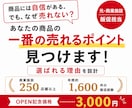 商品の1番の売れるポイントを見つけ、説明文にします 元商業ディベが250店舗の販促経験をもとに売れる理由を設計！ イメージ1