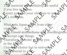 外国人就労者向けルールブック作ります 多言語対応「みんなでつくる、やさしい職場。」 イメージ10