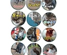 世界に1つのオリジナルシールをデザインします ☆写真から可愛いシールデザイン！ イメージ2