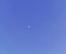自然を感じられる写真を撮ります 幸せが広がる、笑顔があふれる気持ちになりますように イメージ5
