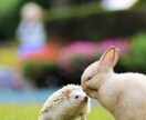 日々の愚痴などお聞きします ご自身の周りには話せない事などを吐き出して下さい♪ イメージ1