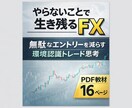 FX 環境認識トレード思考をPDFで解説します 環境認識を軸にした裁量トレード思考 イメージ1