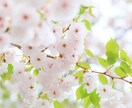 海外在住ママが子育てのイライラ・不安お聞きします 「怒ってばかりで嫌、笑顔になりたい」って思ったらお電話下さい イメージ6