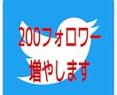 あなたのTwitterフォロワー増やします ★あなたのフォロワー200人増やします★ イメージ1