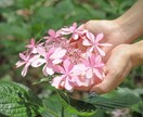 ＨＳＰの生きづらさ、理解されない苦しみに共感します あなたが安心して生きられるように、HSPの私が寄り添います* イメージ6