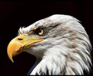 現状をズバリ視ます 真実を知る勇気のない方はご遠慮下さい イメージ1
