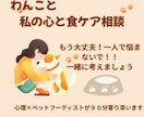 わんこの食ケア相談ペットフーディストが寄り添います 食べない・元気がない・犬のごはんと心に寄り添うオンライン相談 イメージ1