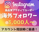 インスタ海外フォロワーを3,000人〜増やします ブランディングや集客強化の土台づくりに最適 イメージ1