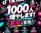 最短納品✨TikTokフォロワーを増加します 実績作りたいため最安でやっています！ イメージ1