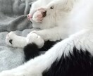 相談を受ける仕事で7年弱、悩みに一緒に向き合います 嘘をつかない、自分がおすすめできないことを相手に進めない。 イメージ1