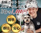 遠隔ペットヒーリングで大切なペットを元氣にします ペットの体調で悩みや不安でいっぱいな方へ！ぜひお試しを！ イメージ1