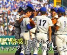 元甲子園出場キャプテンが野球・部活体験談を書きます キャプテンとしての実体験をベースに熱量のある文章を届けます！ イメージ2