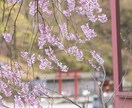 初回専用　毎日の祐気貯蓄に。吉方位鑑定表作ります 毎月の日盤表で日々の吉方位取りを。祐気貯蓄で運命変わります イメージ6
