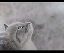 愛犬、愛猫、ペットのリアルな似顔絵オーダー承ります 精密描写で描きます。インテリアアートなどにいかがでしょうか。 イメージ10