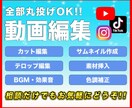 動画編集代行からサムネイル作成まで一気にやります 面倒な作業は全て丸投げして撮影に集中できます!! イメージ1