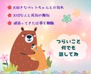 大切な人を亡くしたあなたの悲しみお聞きします 同じ経験をした現役心理カウンセラーに安心してお話しください♪ イメージ1
