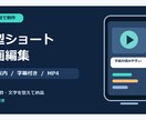 素材支給の2chショートを30秒編集します スカッと系対応・字幕と効果音・修正1回付き イメージ1
