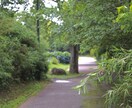 ご希望に添ったお写真をお届けします ご希望に添ったお写真をご提供させて頂きます!! イメージ1