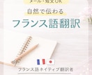 フランス語ネイティブが自然で伝わる翻訳をします ネイティブが丁寧にフランス語翻訳 イメージ1