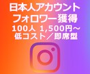 IG:日本人フォロワー獲得を支援します Instagram／即席型／見栄え重視 イメージ1
