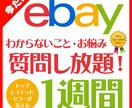 ebayのお困り事、お悩みに1週間答えまくります トップレイテッドセラーが実体験に基づいてアドバイス！ イメージ1