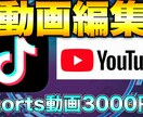 YouTube、TikTokの動画編集をします YouTube、TikTokで投稿したいけど時間がない方へ イメージ1