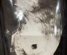 0歳の赤ちゃんに悩んでる方！大丈夫！仲間がいます 赤ちゃんと二人きりで孤独を感じてるなら話そう！ イメージ1