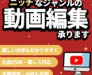 動画を編集いたします ニッチ・専門分野OK／視聴維持率を意識した編集／丸投げ可 イメージ1