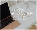 Excelへのデータ入力承ります 面倒なデータ入力をお手伝いいたします イメージ1