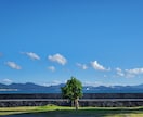 南国からの写真を提供します 沖縄在住カメラマンが現地よりお届けします イメージ5