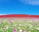 休止します 休止します休止します休止します イメージ1