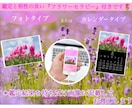 恋愛／仕事／未来 ◆ オラクルカードで鑑定します 【名前・生年月日不要】妖精からの前向きになれるアドバイス イメージ2