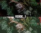 VERDE｜Lightroomプリセット販売します スマホで撮影した写真、ワンタッチで大変身！ イメージ4