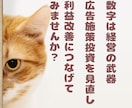 小規模宿泊施設向け｜集客施策を診断し改善提案します 元旅行会社スタッフが施策・広告を分析、改善のヒントをお届け！ イメージ8