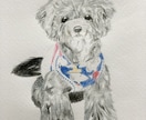 愛犬、愛猫の似顔絵描きます わんにゃんのケア、美容のプロが手がける真心込めた一枚を イメージ1