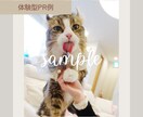 InstagramストーリーでPR投稿をします Instagramフォロワー1万人越え！柔らかい雰囲気が得意 イメージ2
