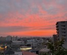 柴犬2匹と暮らすおじさんが話を聞きます クスッと笑える癒しの時間をお届け イメージ3