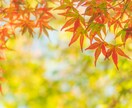 悩み事、愚痴、相談等何でも話し相手になります 嫌なことはさっさと吐き出して楽になりましょう イメージ1